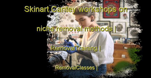 Skinart Cantey workshops on niche removal methods | RemovalTraining | RemovalClasses | SkinartTraining-United States